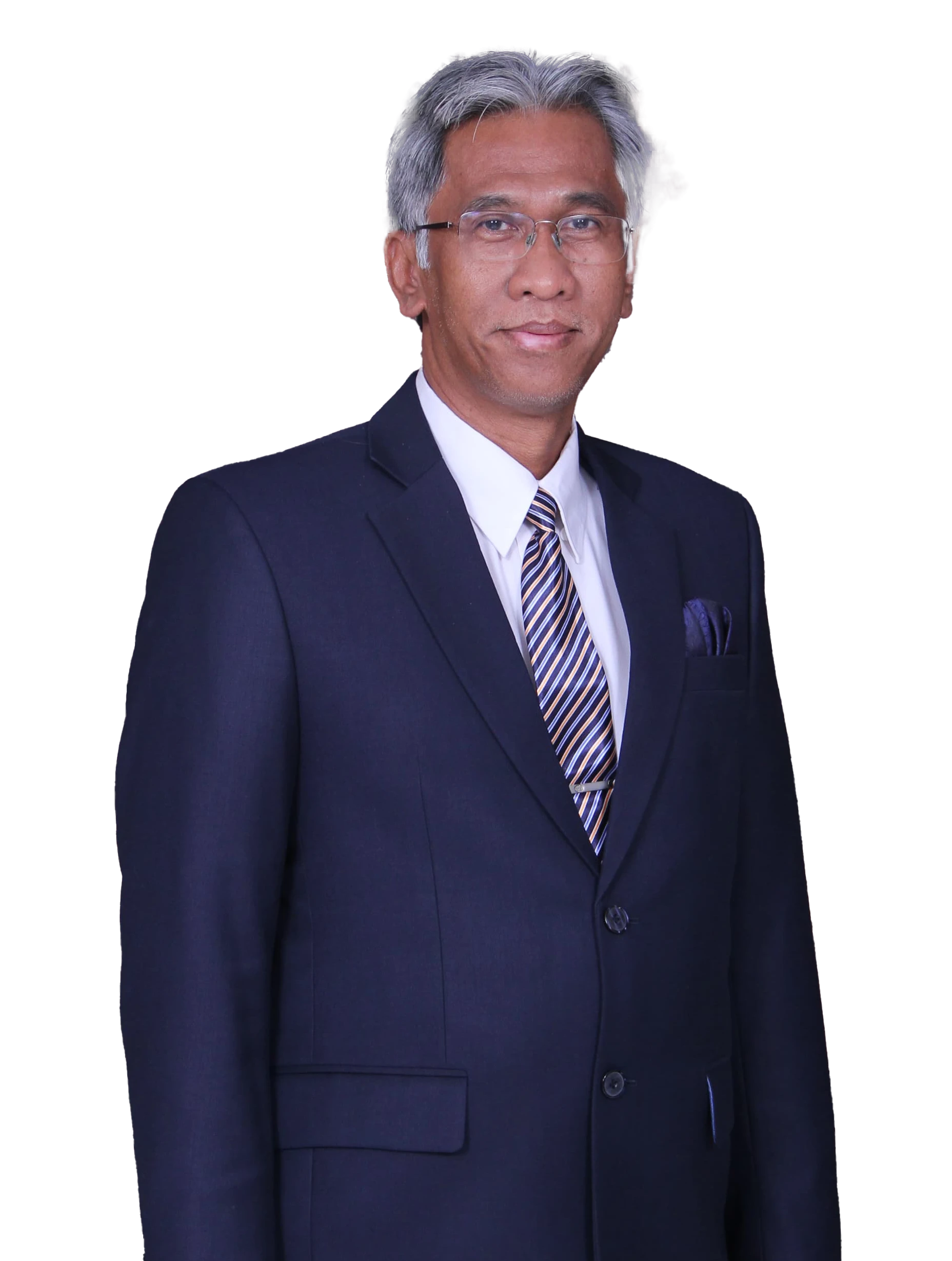 Prof. Drs. Bambang Wispriyono, Apt. PhD